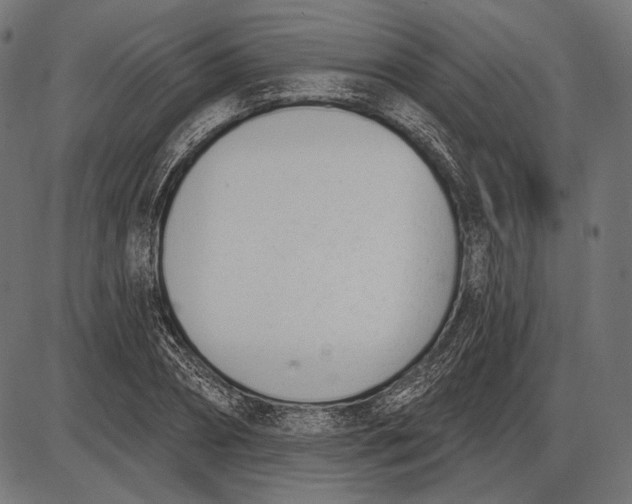 X0000086070882200704091232