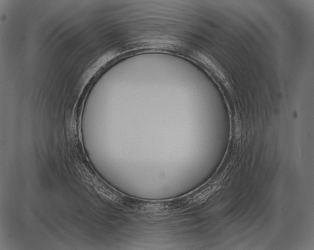 X0000086070883200704091232