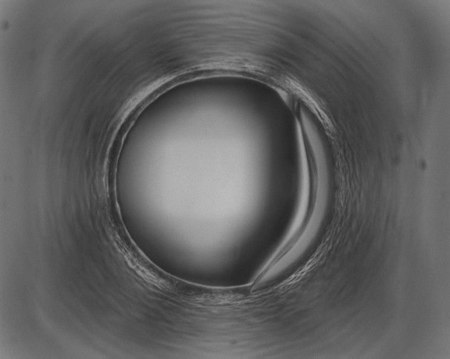 X0000086070884200704091232