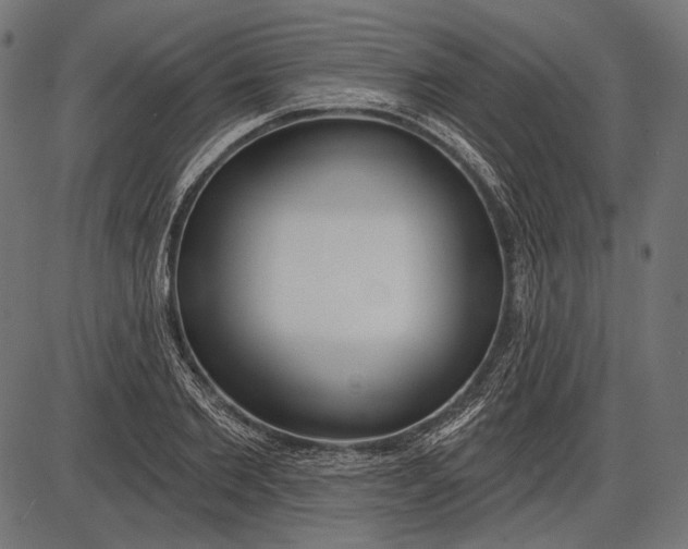 X0000086070885200704091232