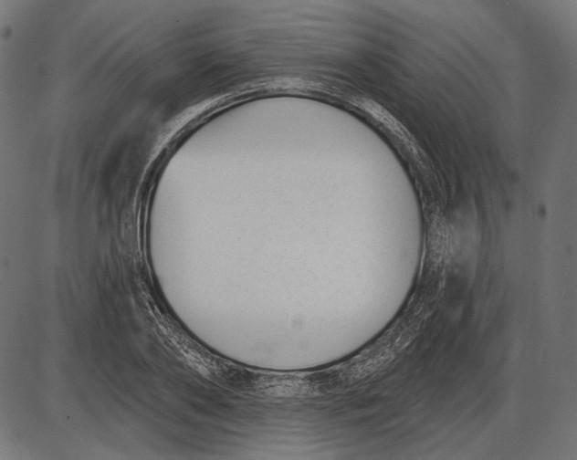 X0000086070886200704091232