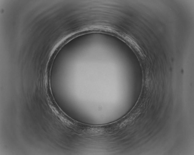 X0000086070888200704091232