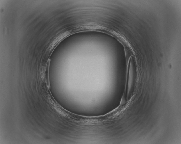 X0000086070889200704091232