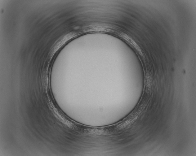 X0000086070890200704091232