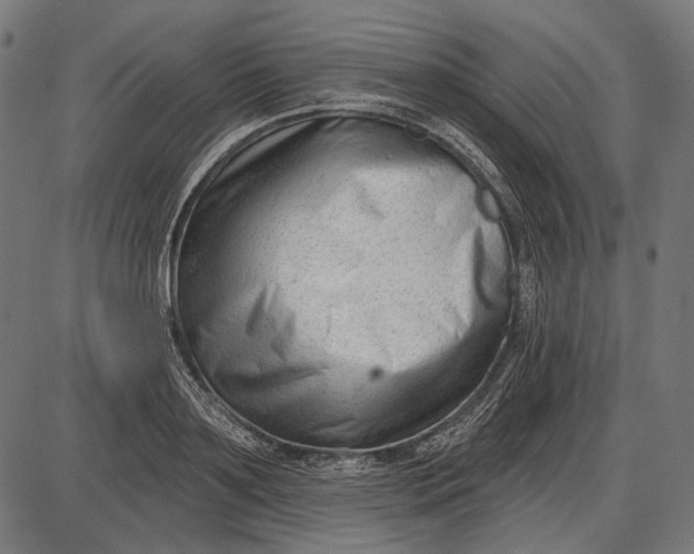 X0000086070891200704091232