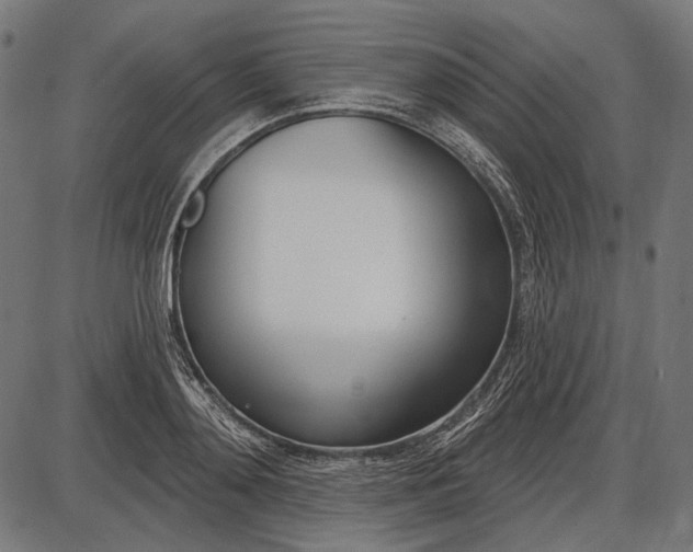 X0000086070892200704091232