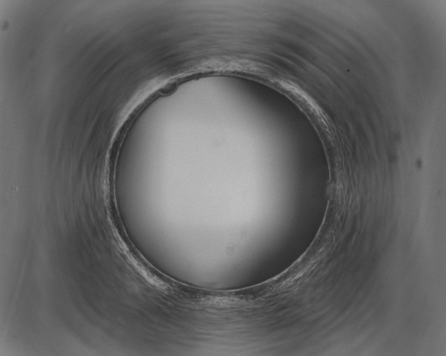 X0000086070894200704091232