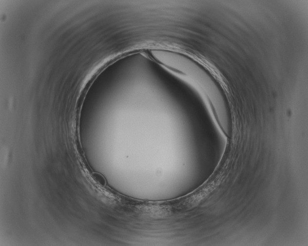 X0000086070896200704091232