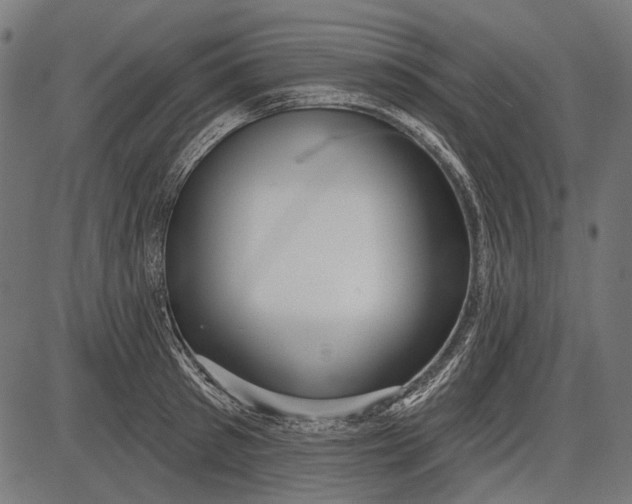 X0000086070897200704091232