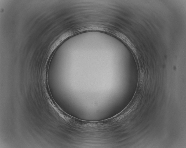 X0000086070898200704091232