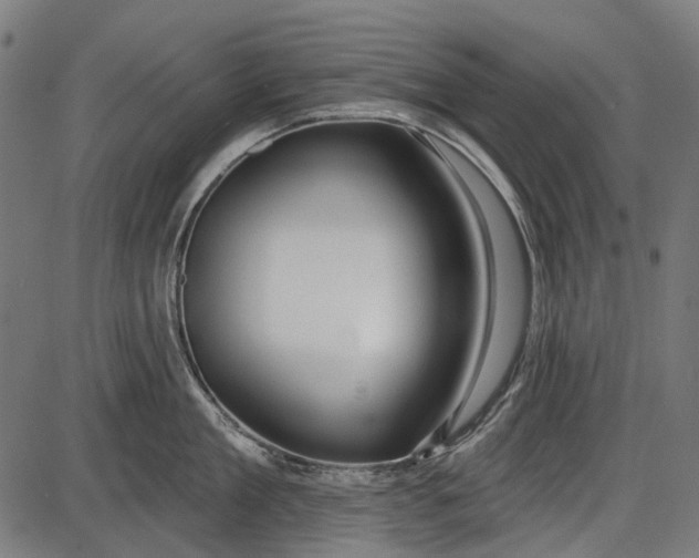 X0000086070909200704091232