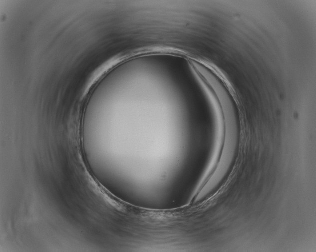 X0000086070910200704091232