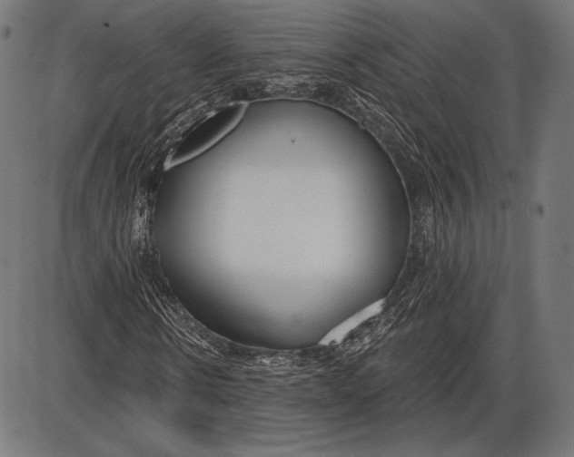 X0000086070914200704091231