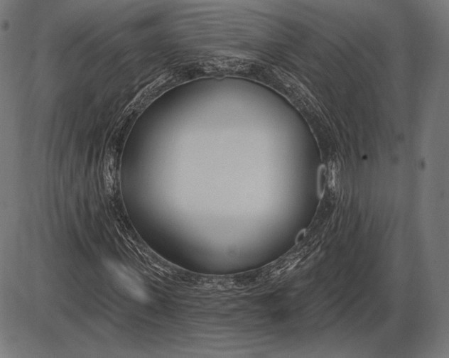 X0000086070915200704091231