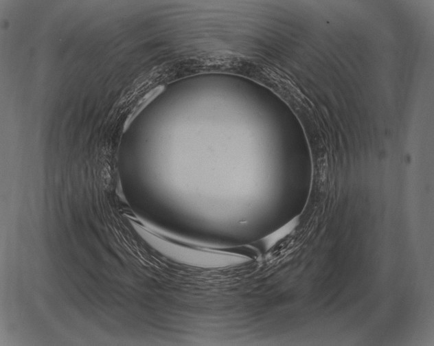 X0000086070916200704091231