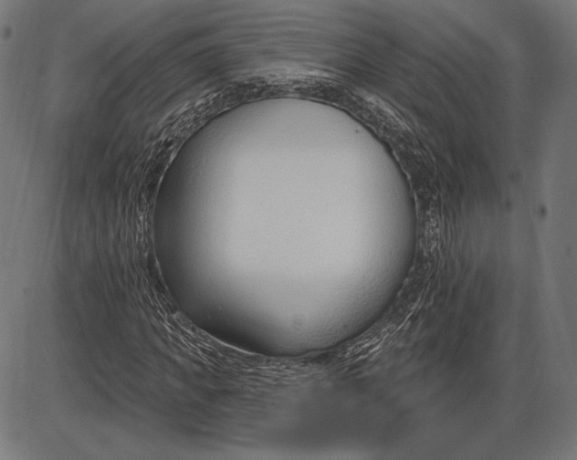 X0000086070917200704091231