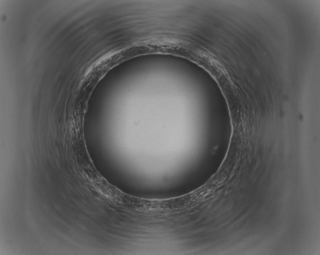 X0000086070920200704091231