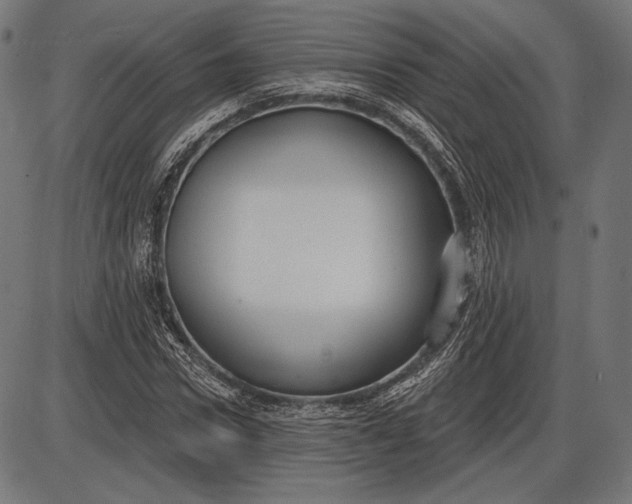 X0000086070922200704091231