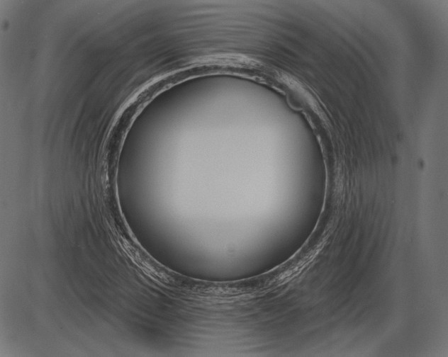 X0000086070923200704091231