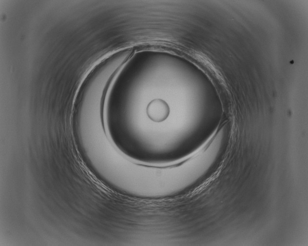 X0000086070924200704091231