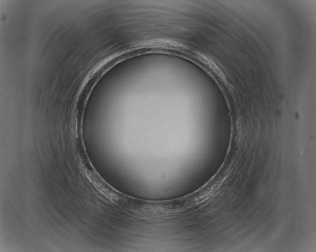 X0000086070931200704091231
