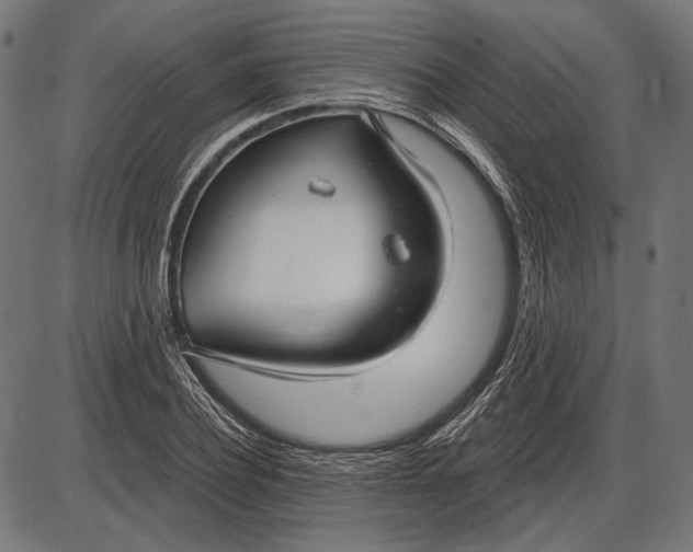 X0000086070932200704091231