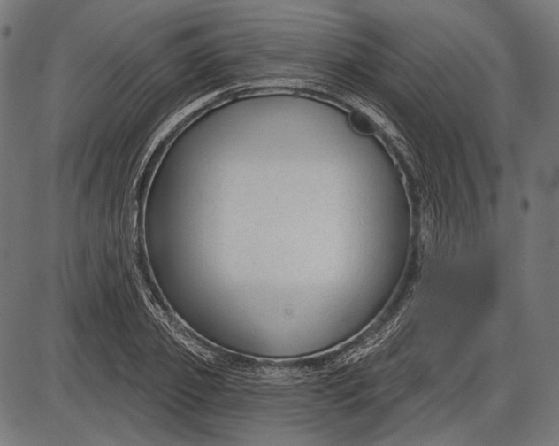 X0000086070933200704091231