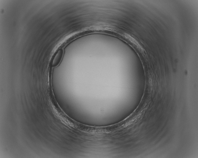 X0000086070934200704091231