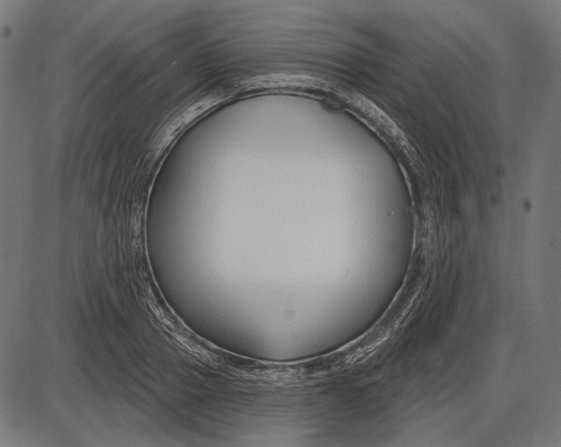 X0000086070937200704091231
