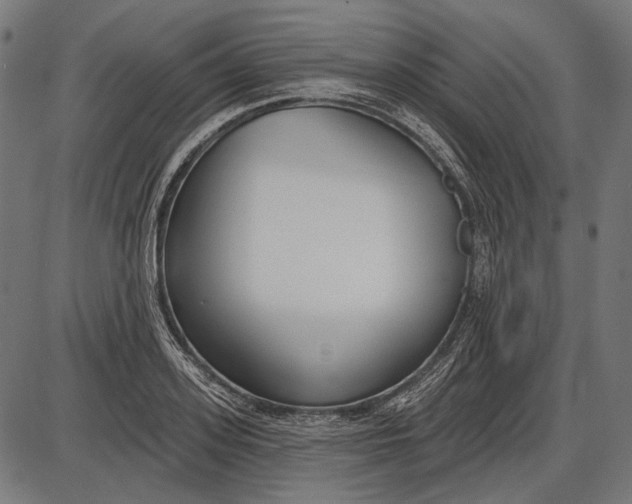 X0000086070939200704091232