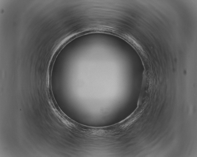 X0000086070940200704091232