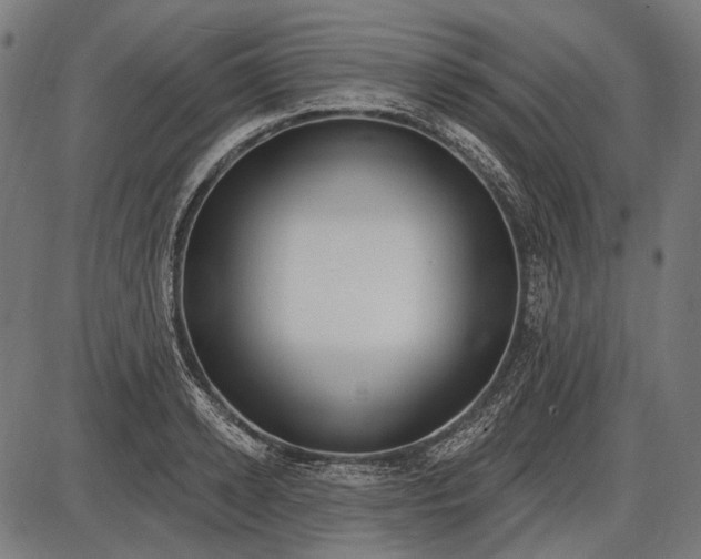 X0000086070942200704091232