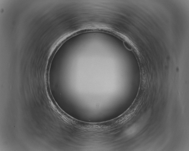 X0000086070943200704091232