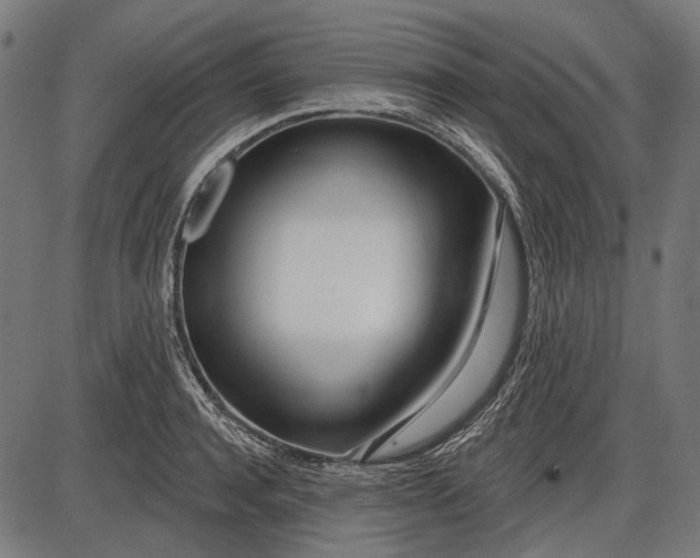 X0000086070944200704091232
