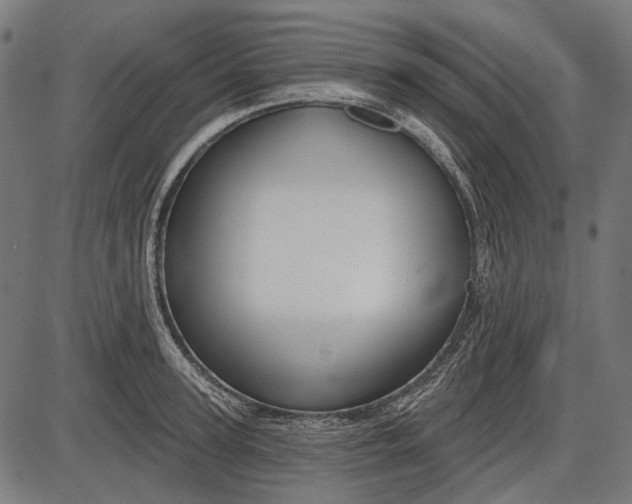 X0000086070947200704091232