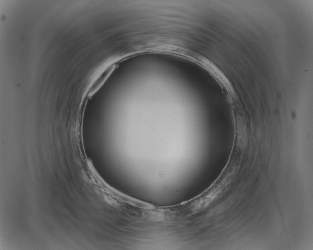 X0000086070956200704091232