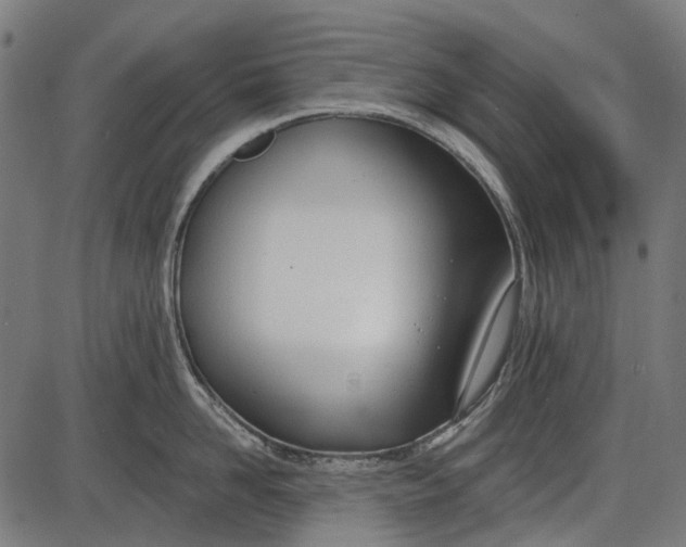 X0000086070958200704091232