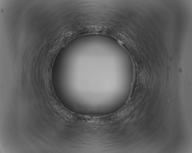 X0000086070961200704091231