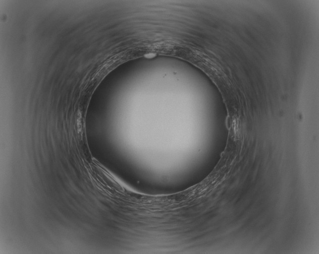 X0000086070963200704091231