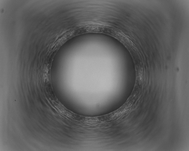 X0000086070964200704091231