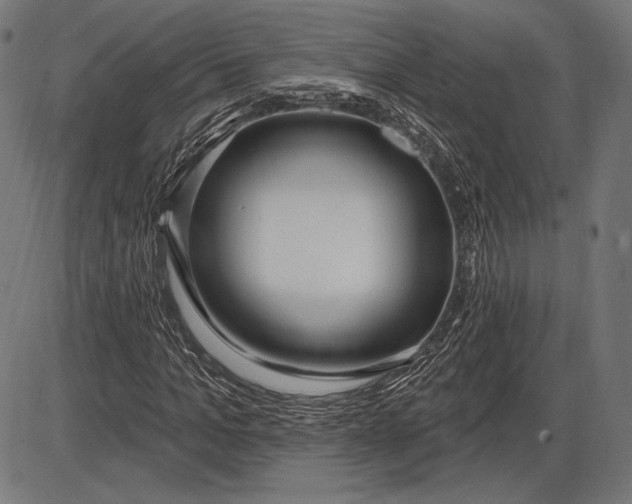 X0000086070965200704091231
