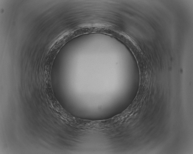 X0000086070967200704091231