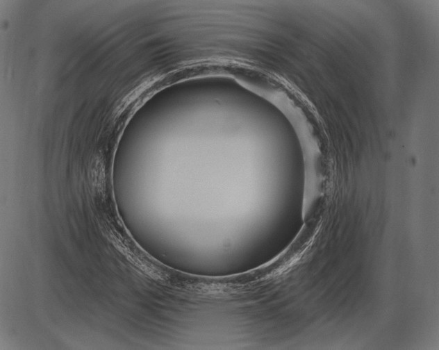 X0000086070969200704091231