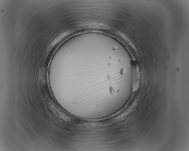 X0000086070970200704091231