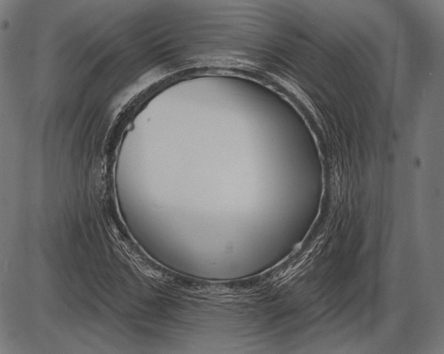 X0000086070971200704091231