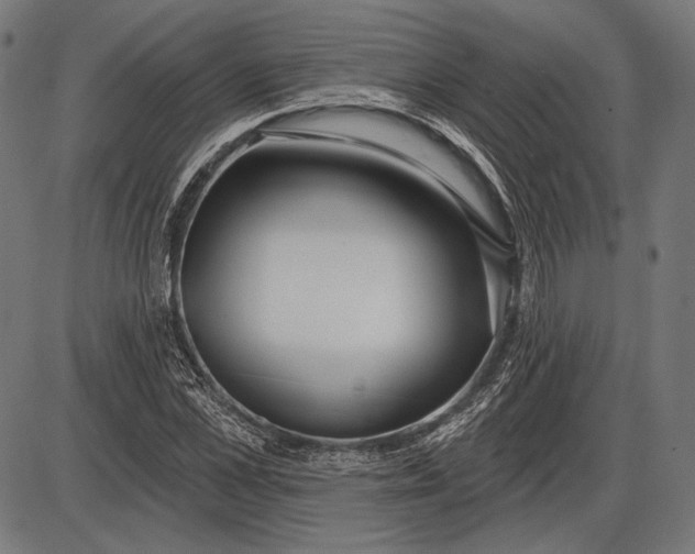 X0000086070973200704091231