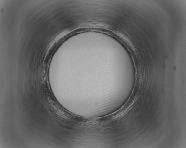 X0000086070974200704091231