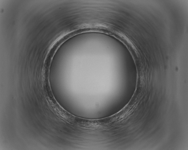 X0000086070975200704091231