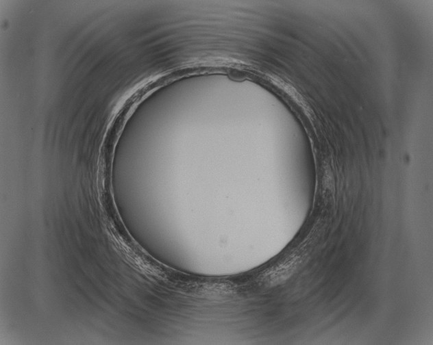 X0000086070979200704091231
