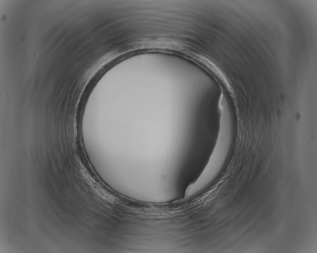 X0000086070980200704091231